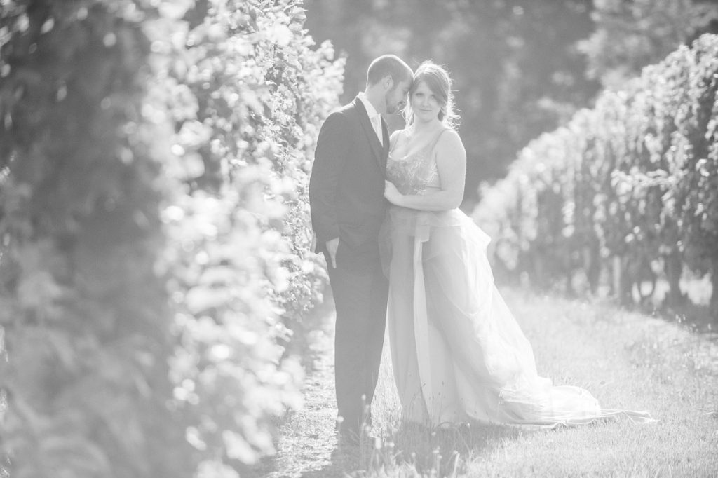 Successful photography is all about the lighting - see it here with this vineyard shoot in St Emilion, black and white 